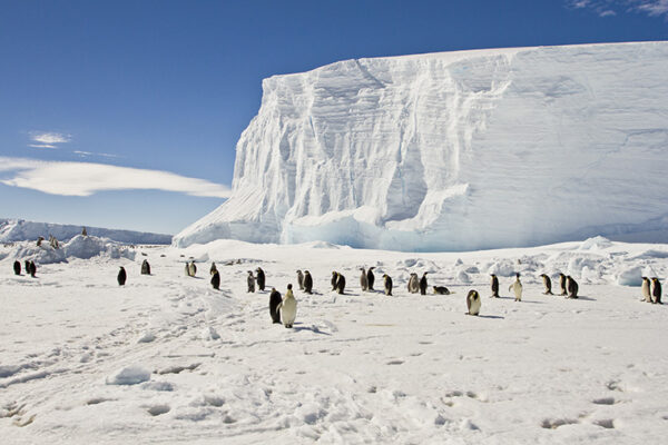 Geoscientists to study structure and properties of Antarctic lithosphere