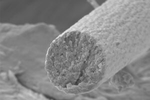 Image through a microscope of the muscle protein, Titin.