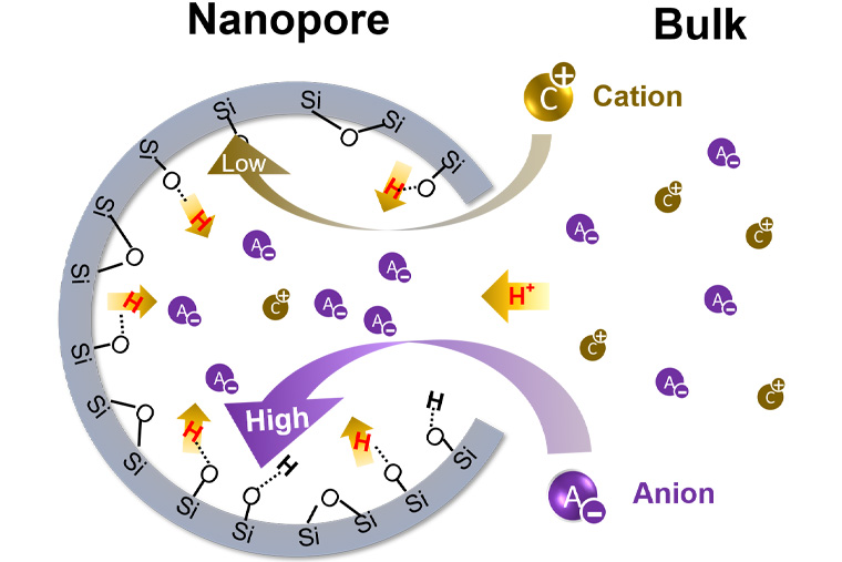 drawing of a nanopore with a different pH than its surrounding solution