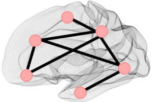 Illustration of a brain with lines connecting different regions