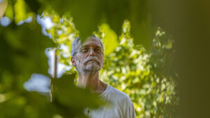 Stan Braude is professor of practice in biology in Arts & Sciences and the curator of the WashU arboretum. (Photo: Thomas Malcowicz)