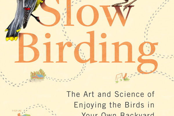 Slow Birding