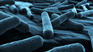 E. Coli