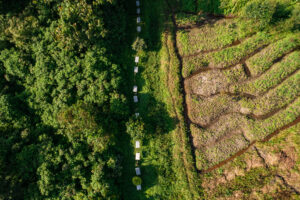 Aerial view of the border of Kibale National Park in Uganda