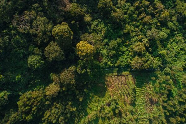 Our future hangs in the balance: climate change and biodiversity loss