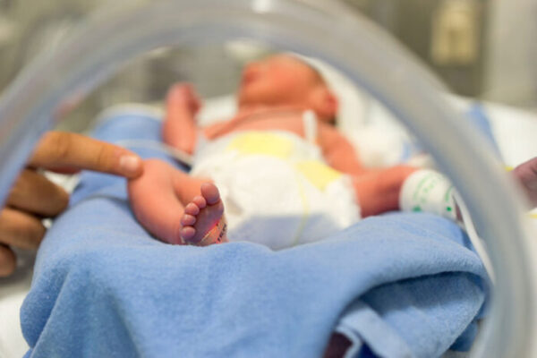 Bloodstream infections in preemies may originate from their gut microbiomes