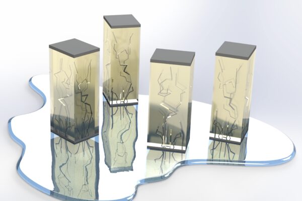 Study shows similarity between solid state and liquid state electrolytes used in batteries