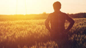 farmer