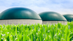 biogas plant
