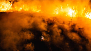 wildfire