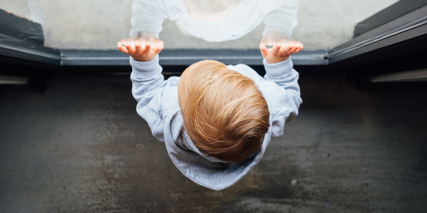 baby with hands on window