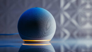 smart speaker