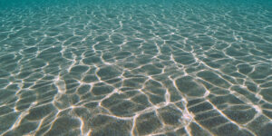 sandy ocean floor