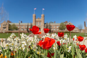 spring flowers in front of Brookings Hall