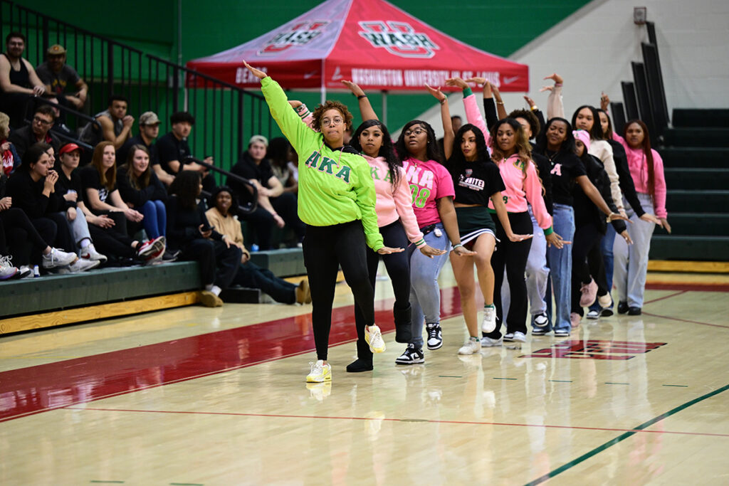 Members of Alpha Kappa Alpha Sorority Inc.