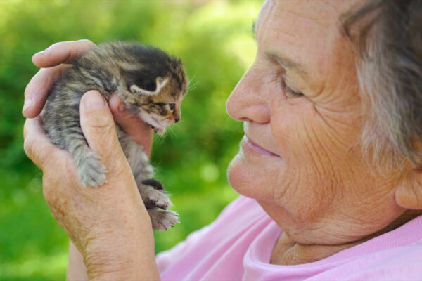 Happiness may protect against dementia