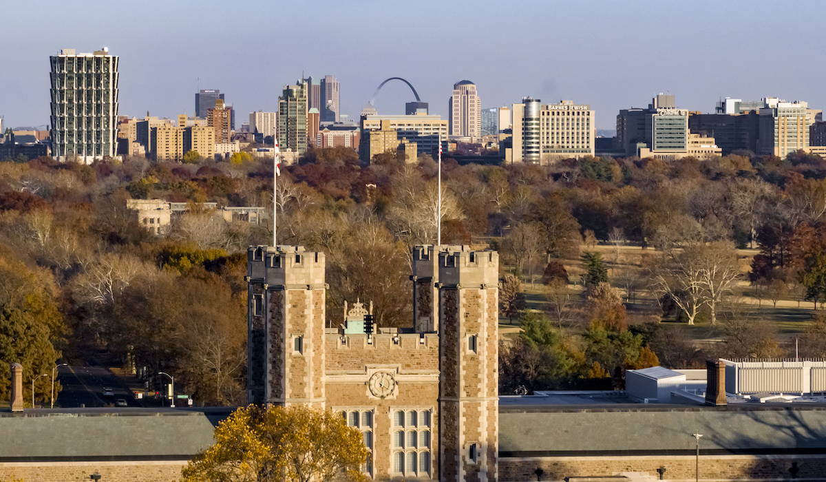 WashU, Forest Park, downtown St. Louis