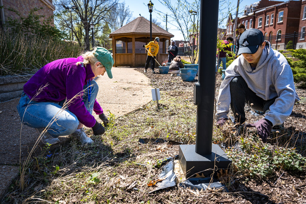 Volunteers pull weeds