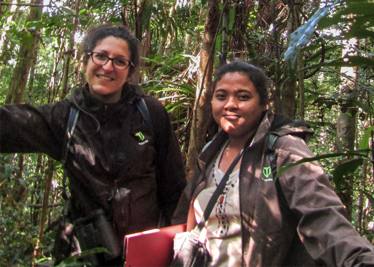 lemur researchers