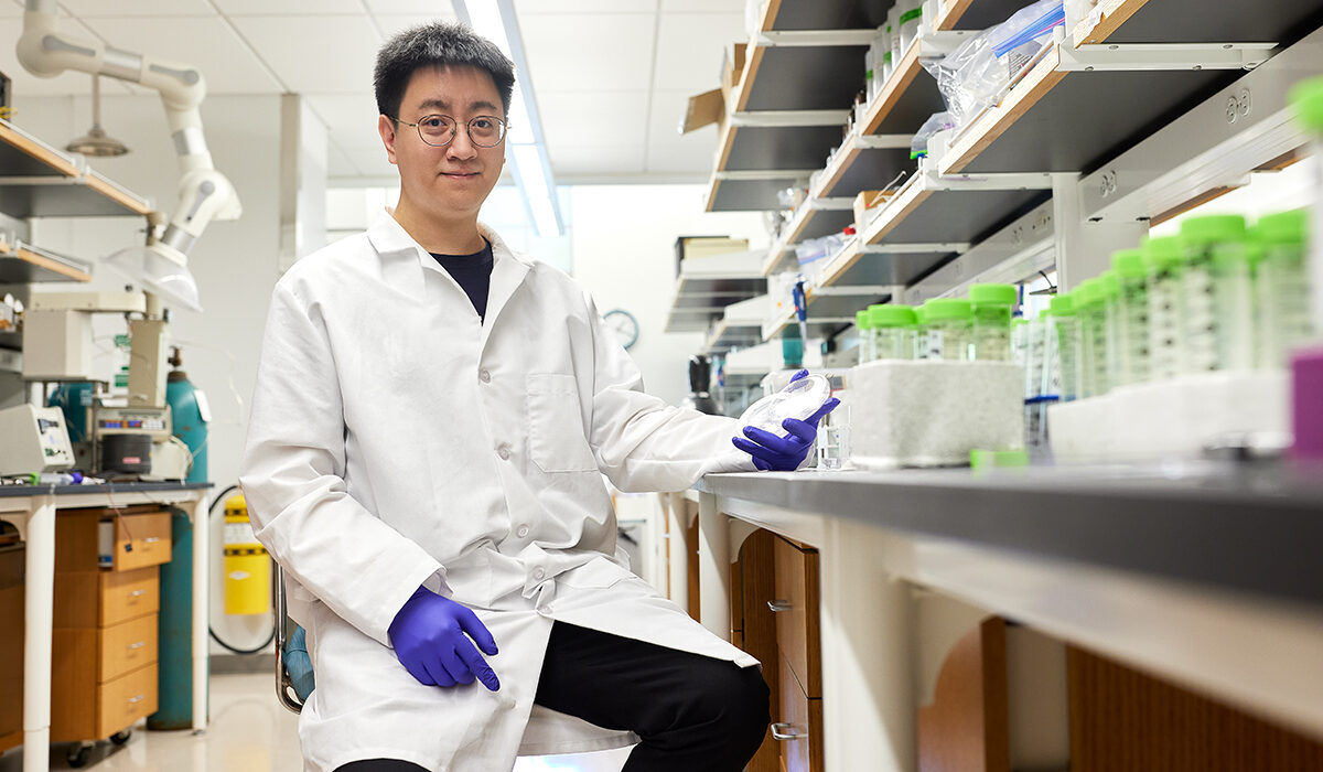 Ping-I (Dennis) Chou in a lab