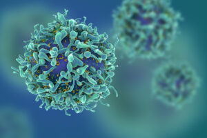 T cells