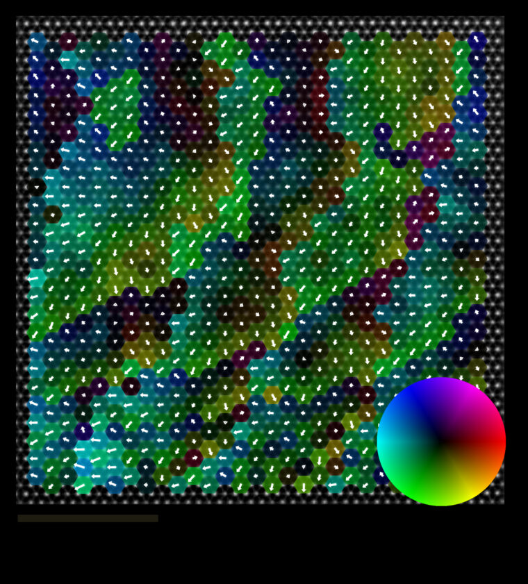 A vector map showing picometer-scale displacements of titanium atoms overlaid onto a scanning transmission electron micrograph that shows the position of different atomic columns. The direction and magnitude of atomic displacements are represented by arrows; direction is also indicated by color.