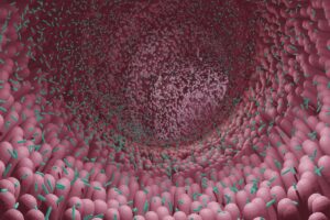 microbes in the intestine