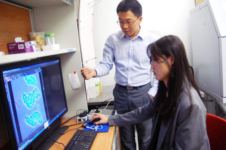 A woman looks at a microscope image while her adviser looks on