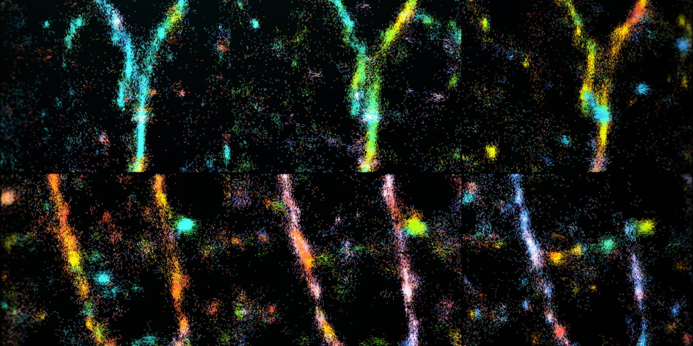 amyloid beta (Aβ42) fibrils undergoing remodeling