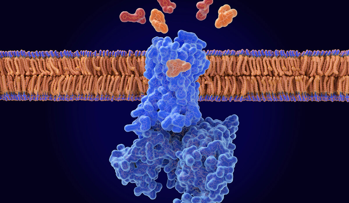 naloxone displacing opioids from the opioid receptor