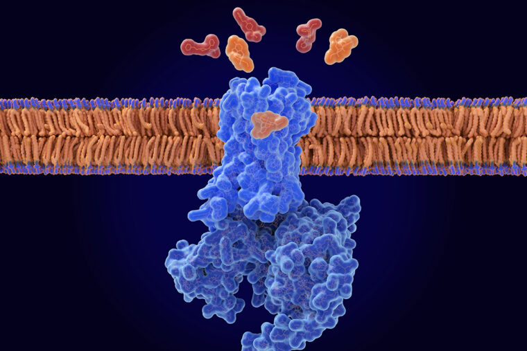 naloxone displacing opioids from the opioid receptor