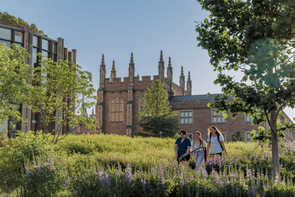 Students walk through campus