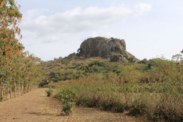 Archaeologists report earliest evidence for plant farming in east Africa