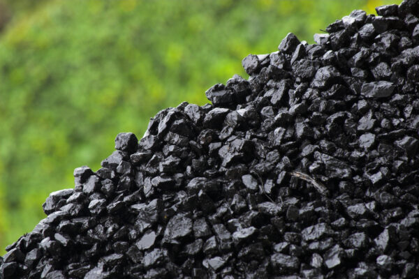 Sustainable technology to extract critical materials from coal-based resources