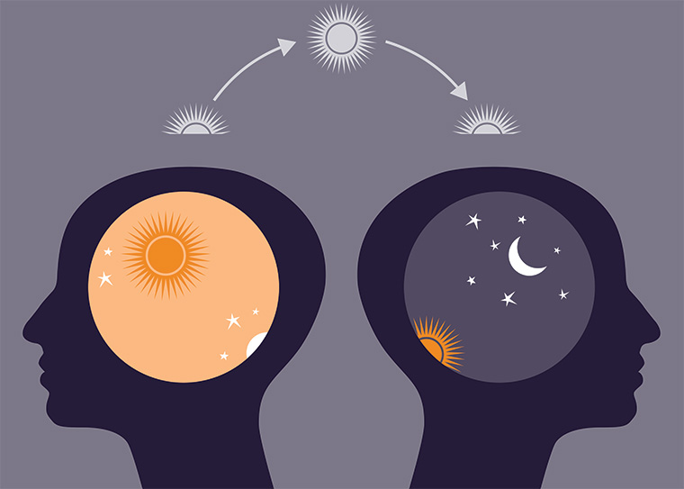 circadian rhythms