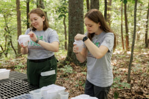 high school students do field work