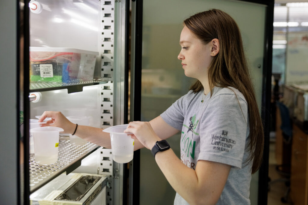 2024-07-23 -- TERA (Tyson Environmental Research Apprenticeship) participants study mosquitoes at Tyson Research Center. TERA is a field research internship program for high school students.