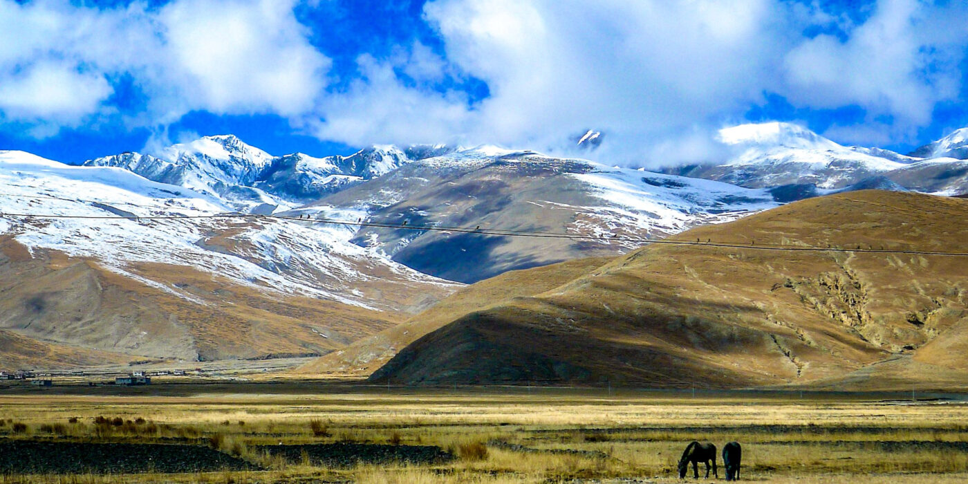 horses grazing in the shadow of the Tibetan mountain ranges