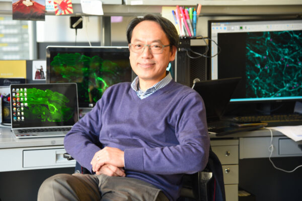 Huang named head of pathology and immunology