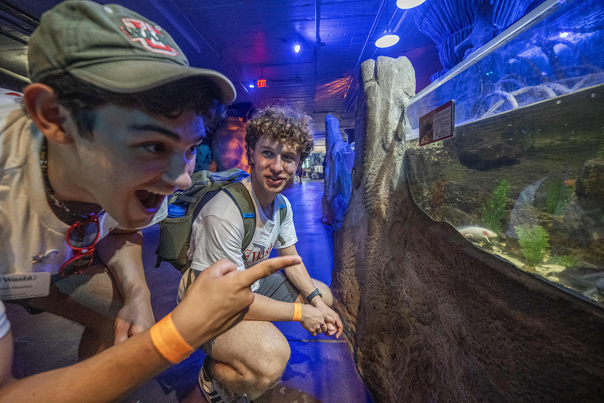 students look at aquarium at the City Museum