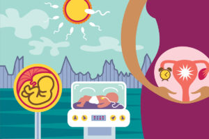 illustration of reproductive system, fetal development, preterm baby