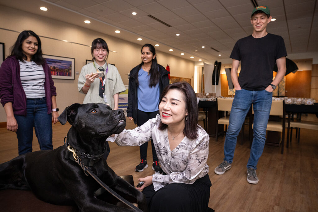 Staff engage with comfort dog