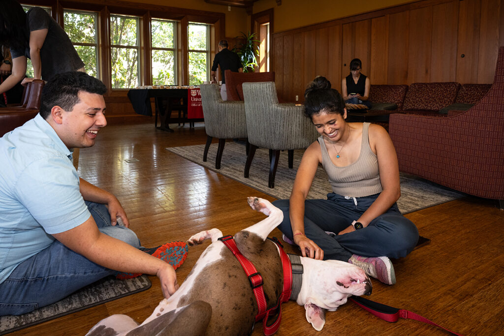 Staff interact with comfort dog