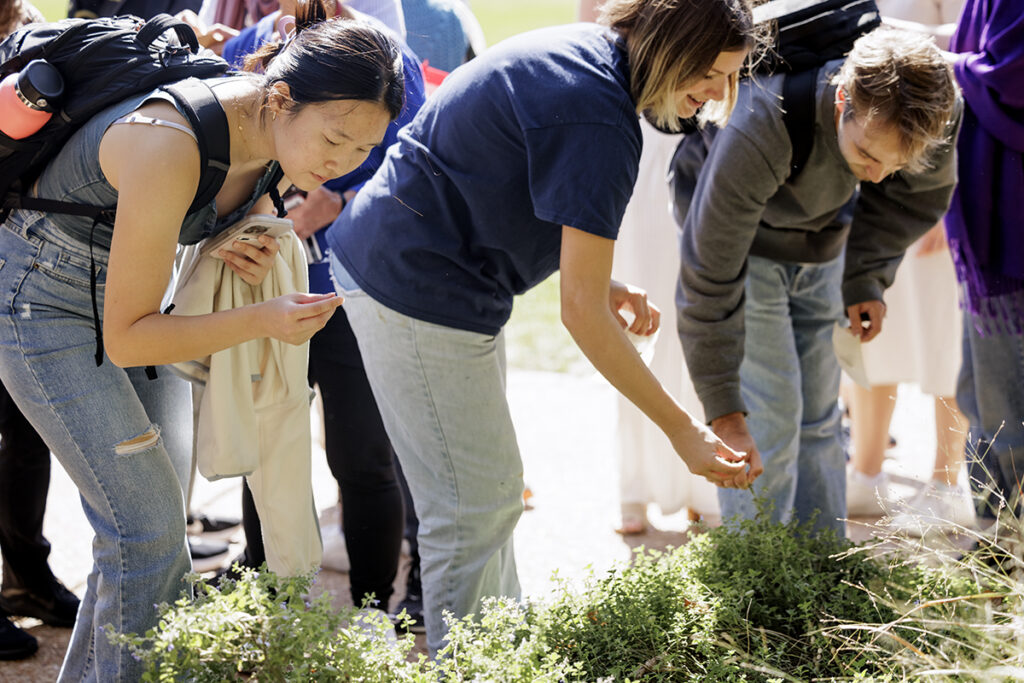 Community members go on a foraging walk