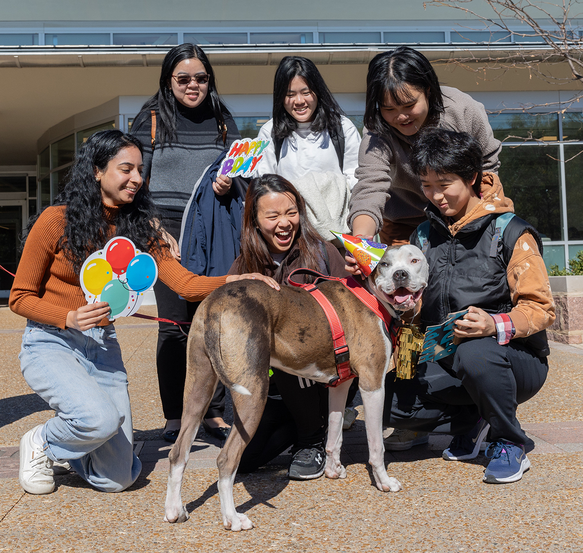 Students gather around comfort dog