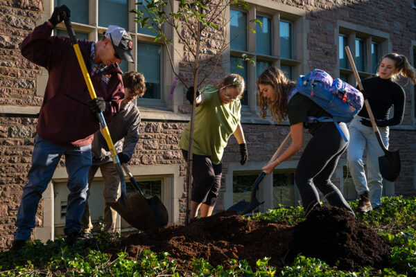 Home to 6,500 trees, WashU Arboretum earns rare status