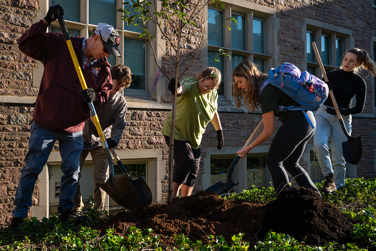 WashU Arboretum earns rare status