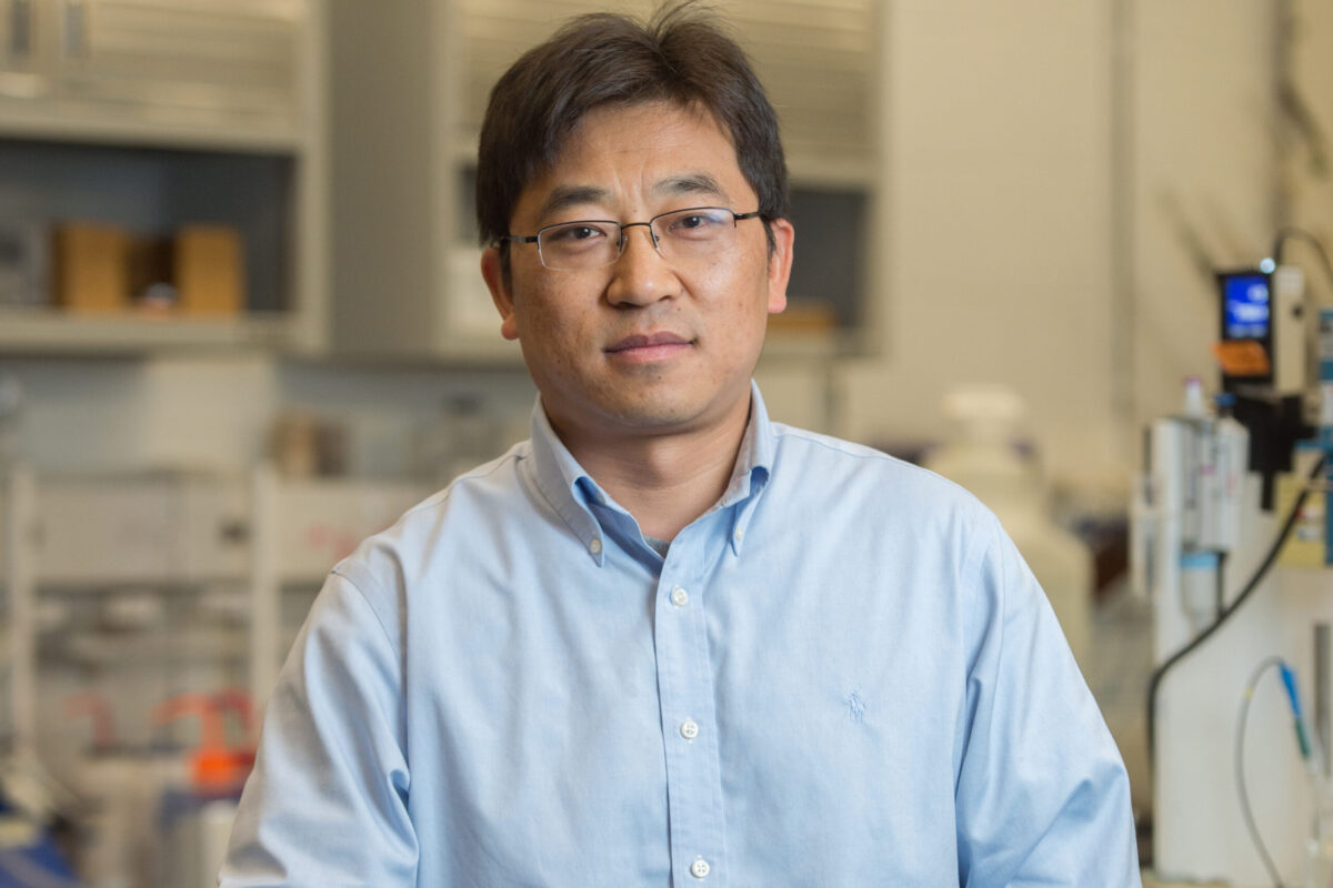 Professor Wu Receives Prestigious Energy Technology Research Award