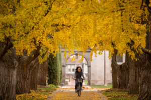bicyclist rides through trees in fall