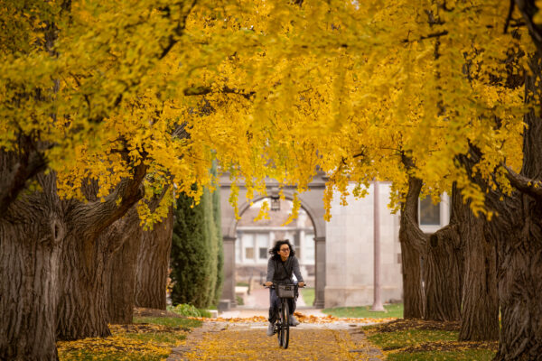 WashU again recognized as bike-friendly university